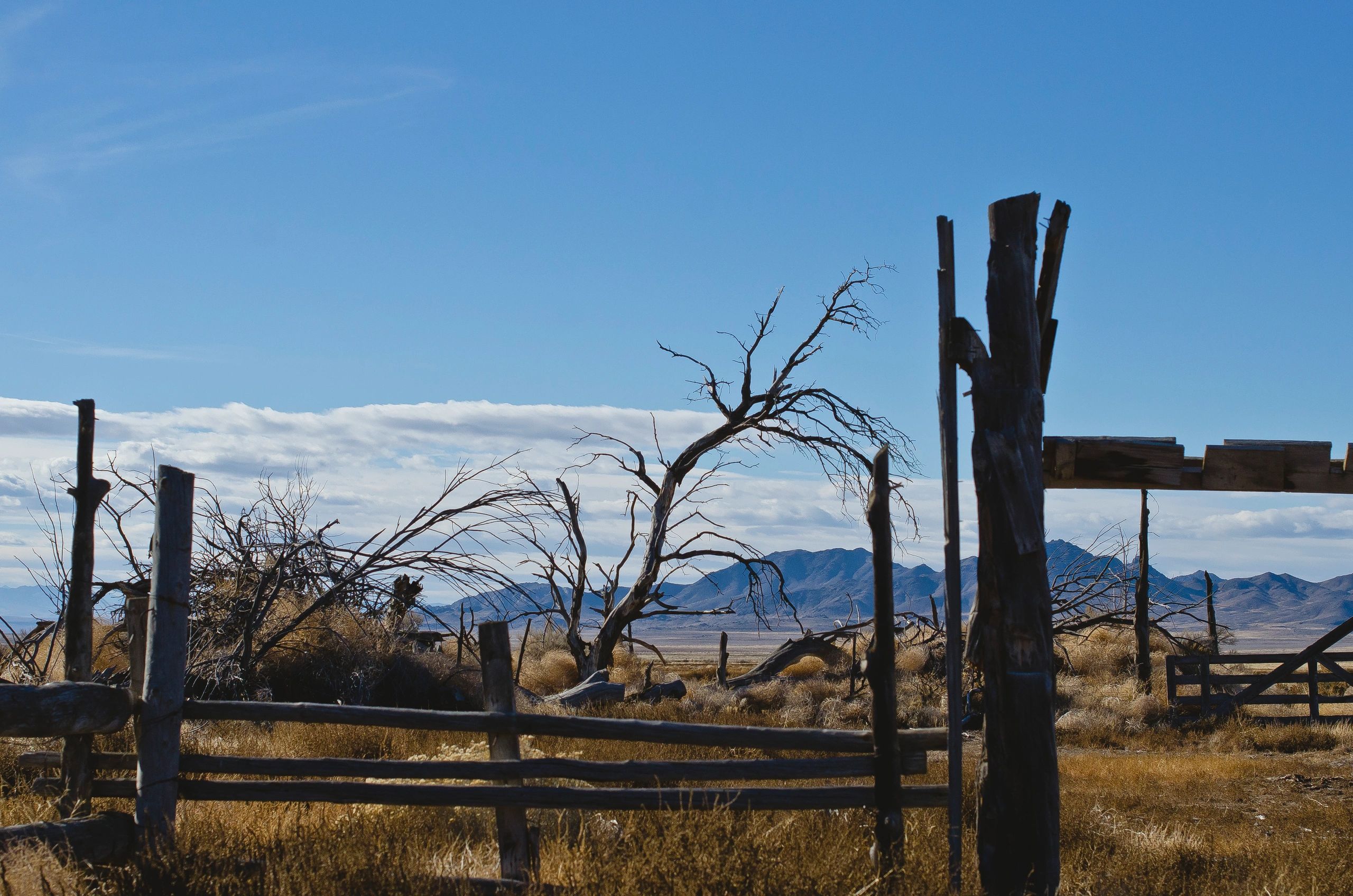 Rural barbed wire fence line