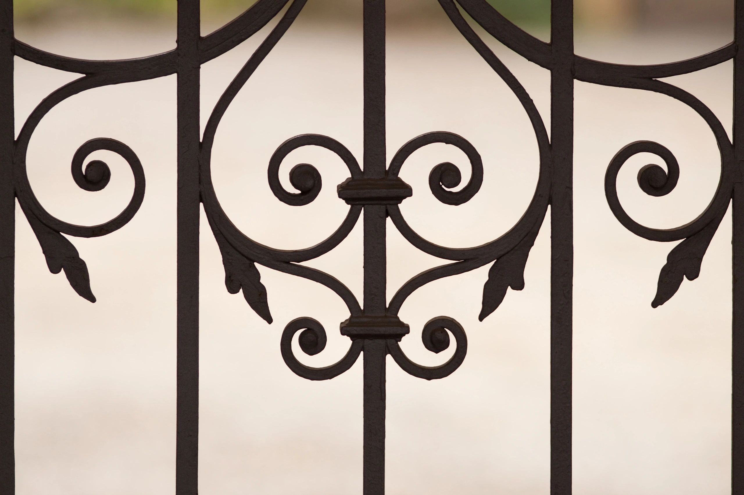 Ornamental metal gate detail