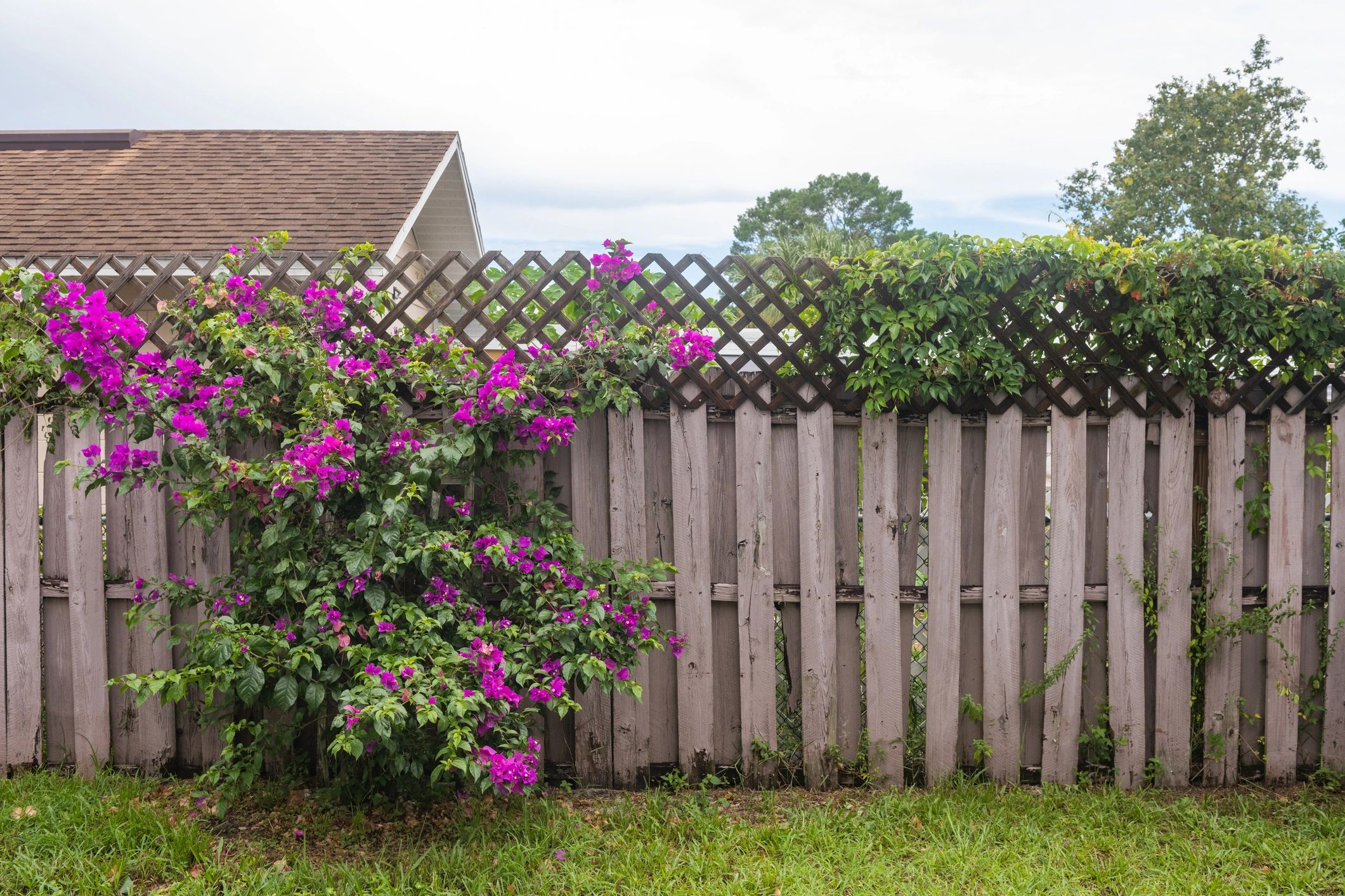 Man adding finishing touches to his fence