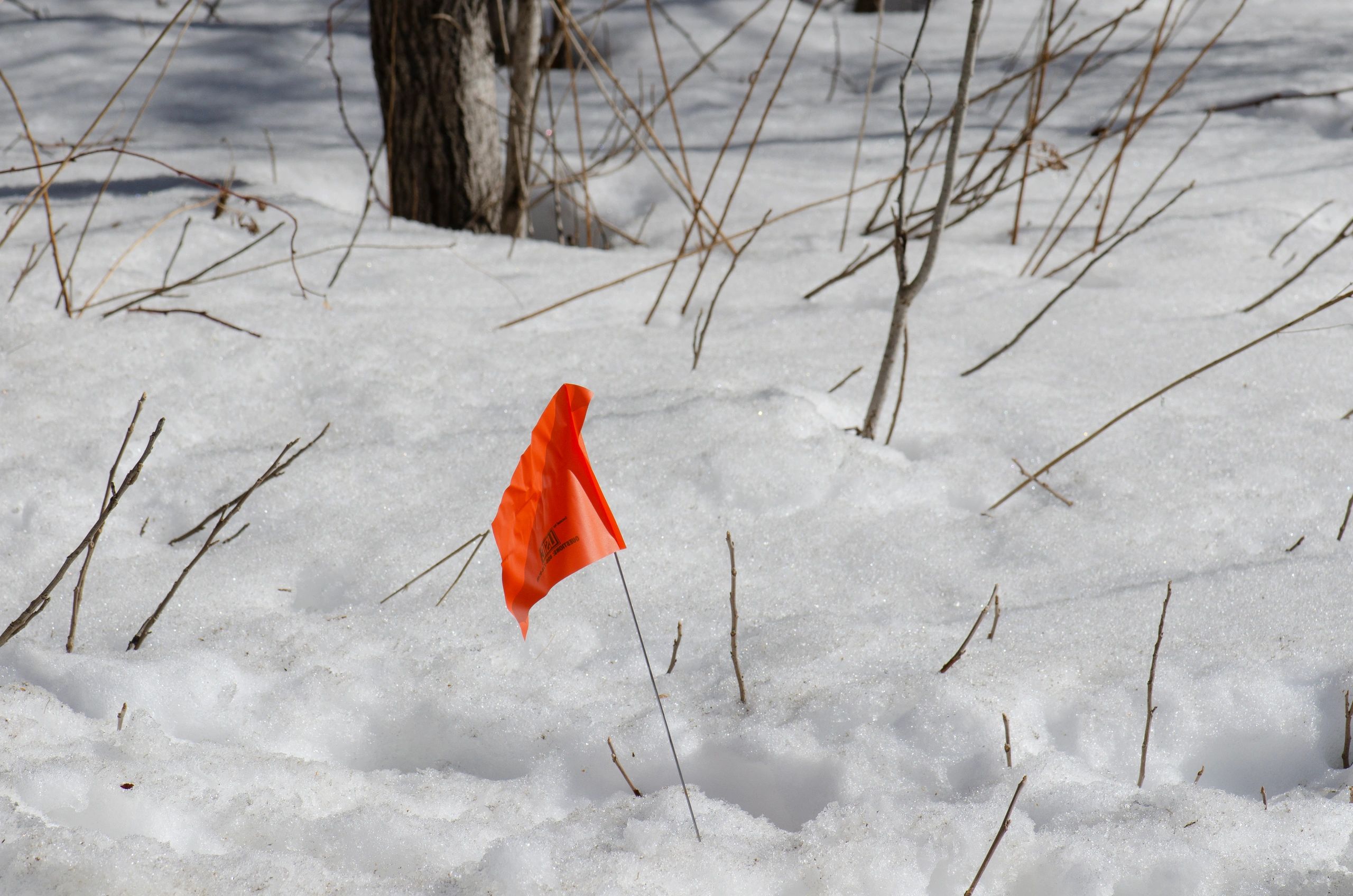 Utility marking flag