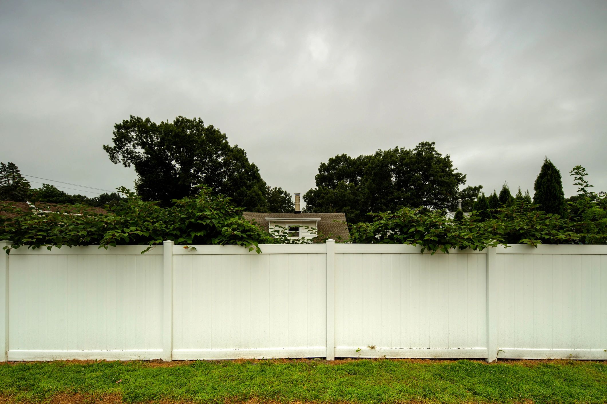 White picket fence style