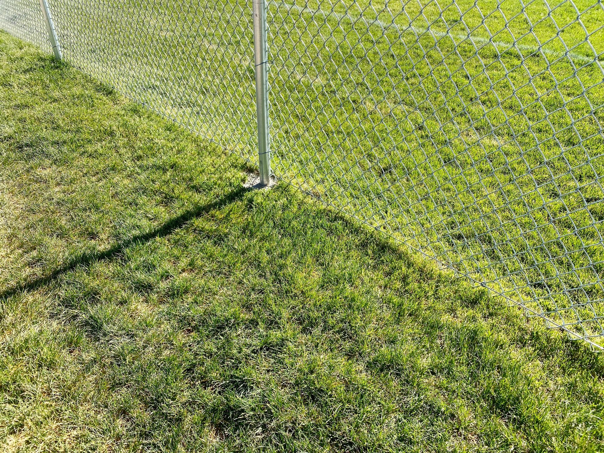 chainlink fence backyard chain yard grass lawn metal fencing steel security