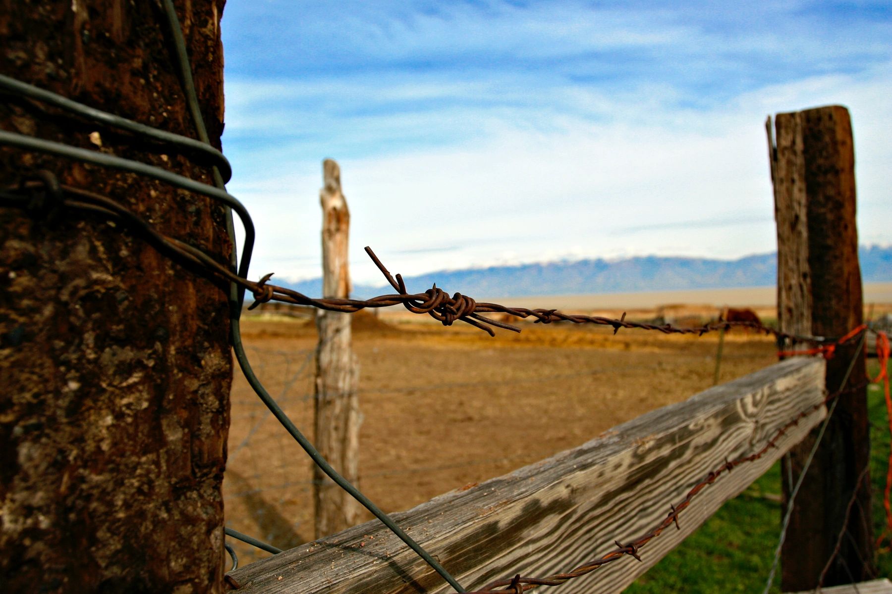 Wide shot of a barbed wire fence line