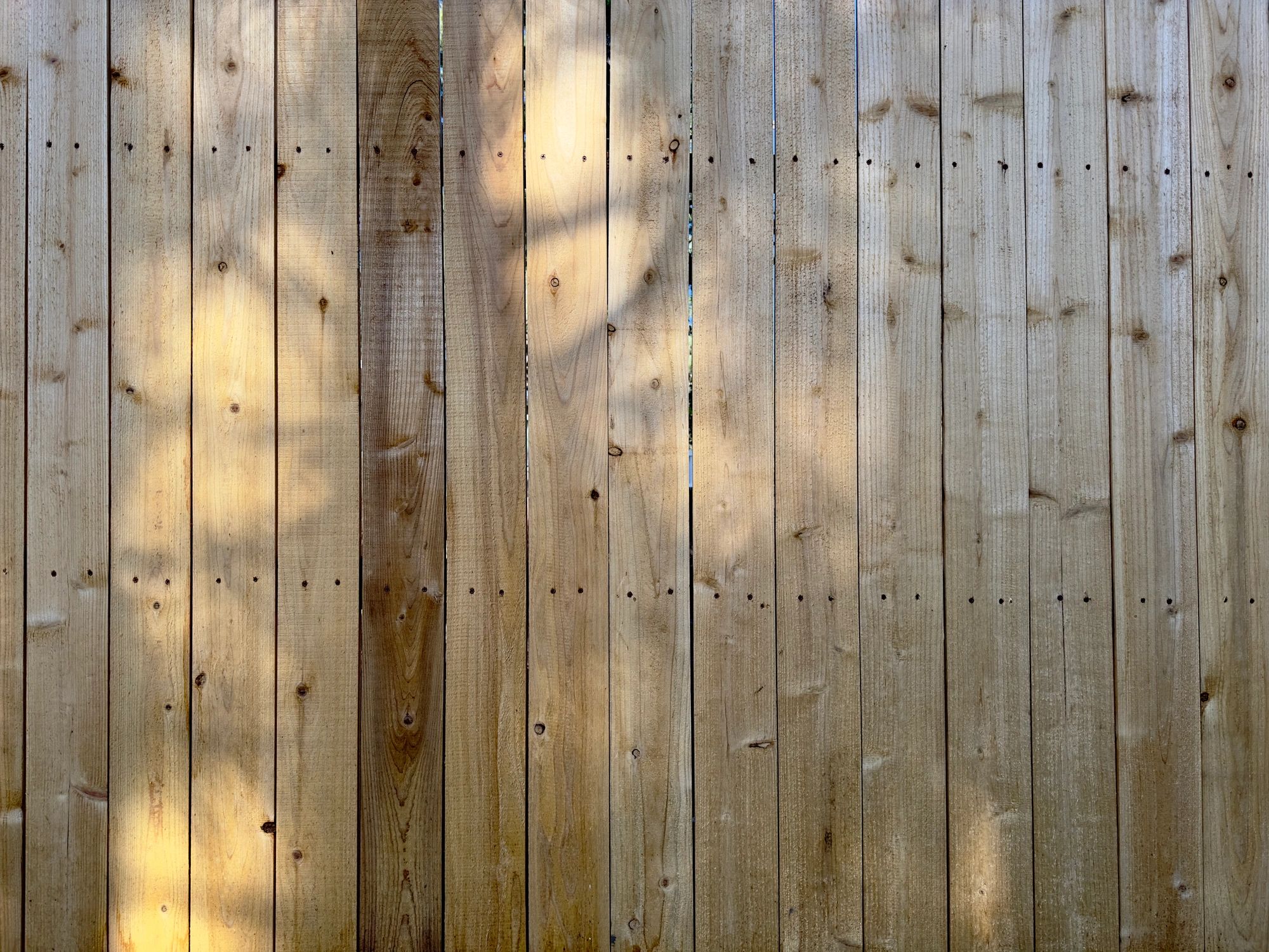 Wood privacy fence in a backyard