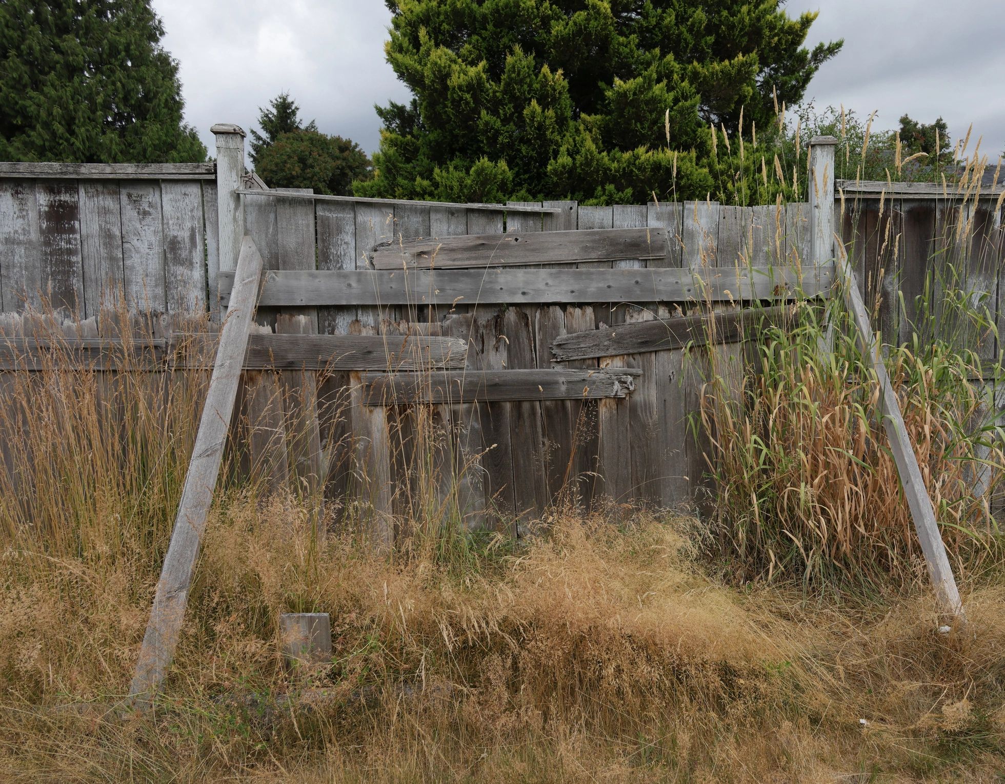 Wood fence line with tall grass
