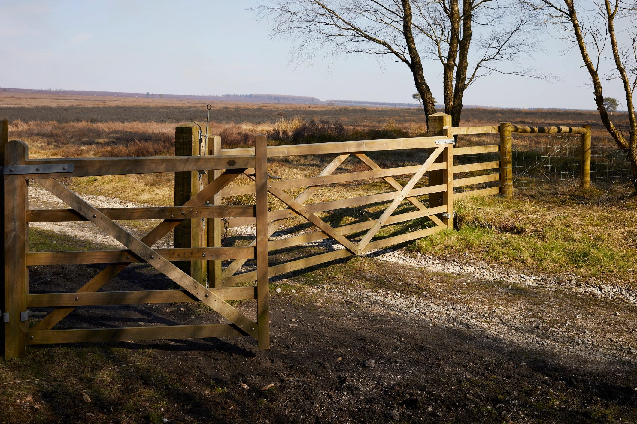 Gate and fencing boundary between moorland and forestry land