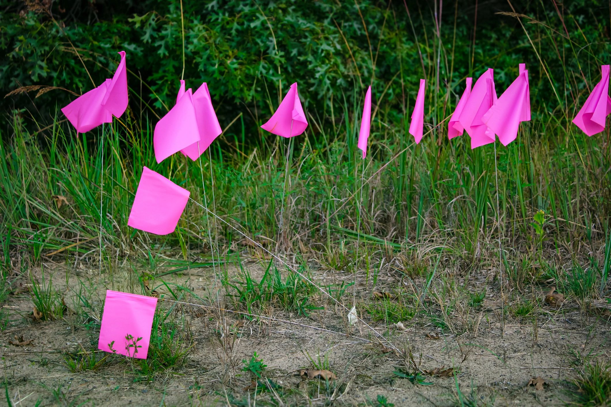 Utility marking flags in ground