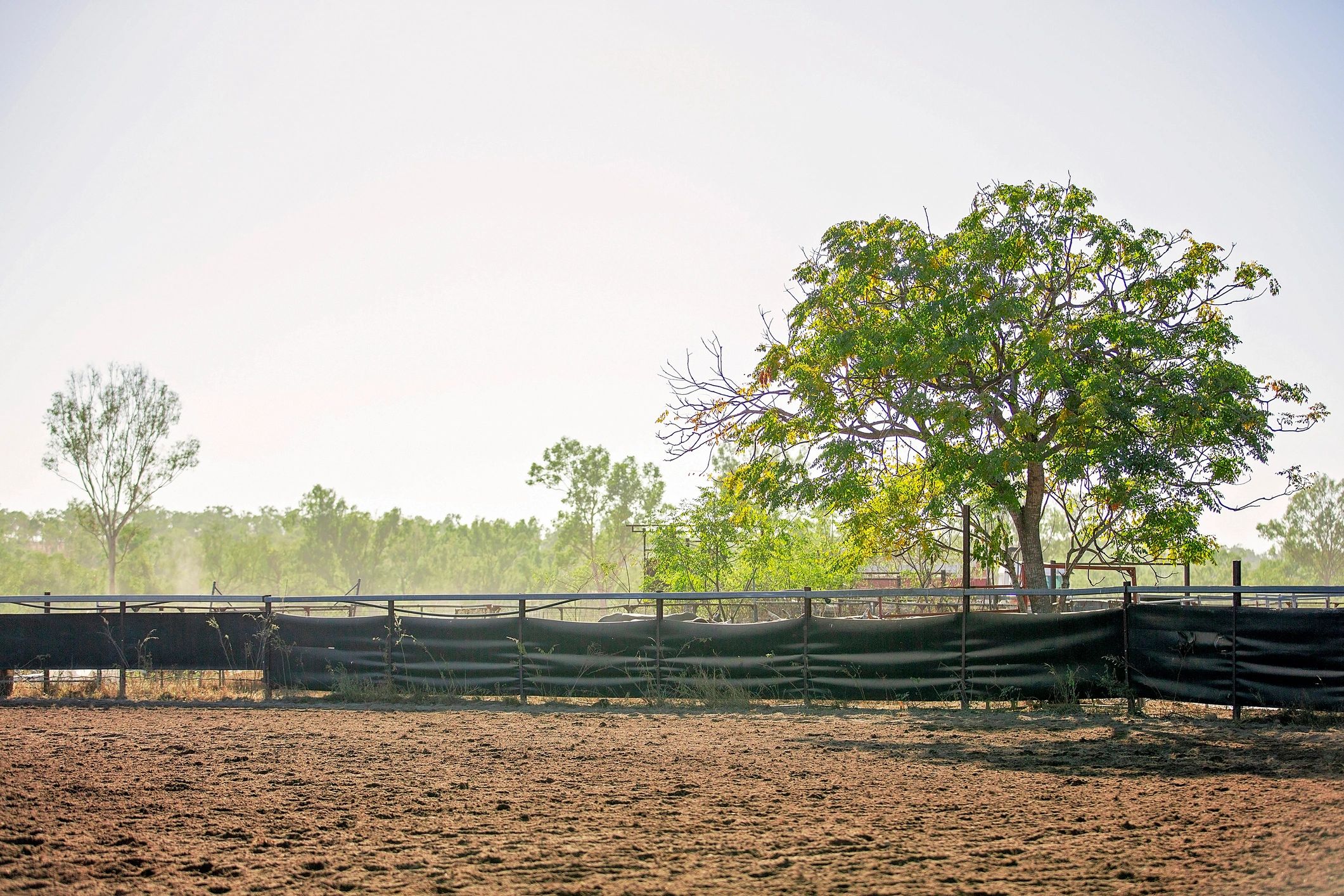Australian outback rodeo grounds with green trees and metal arena fencing in sunlight