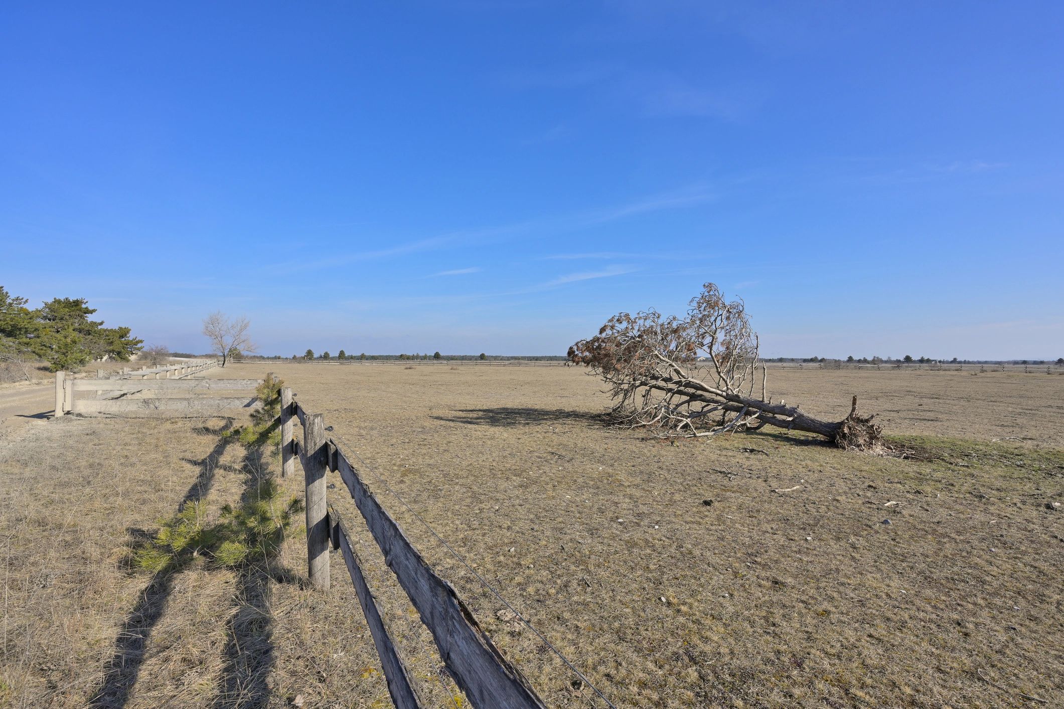 Open pasture landscape in North Louisiana