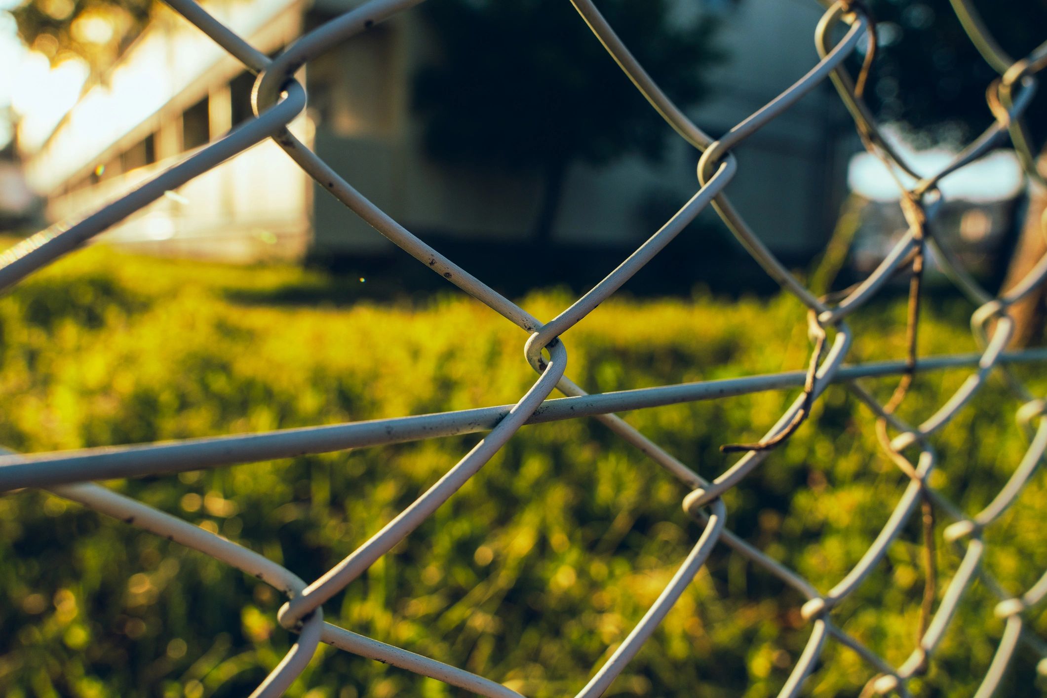 Chain-link fence detail with grass beyond