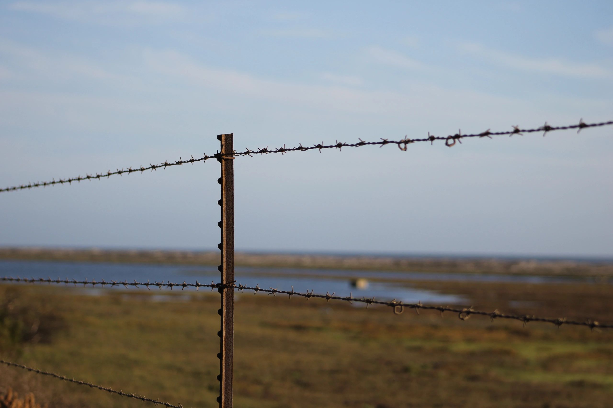 Barbed wire fence detail