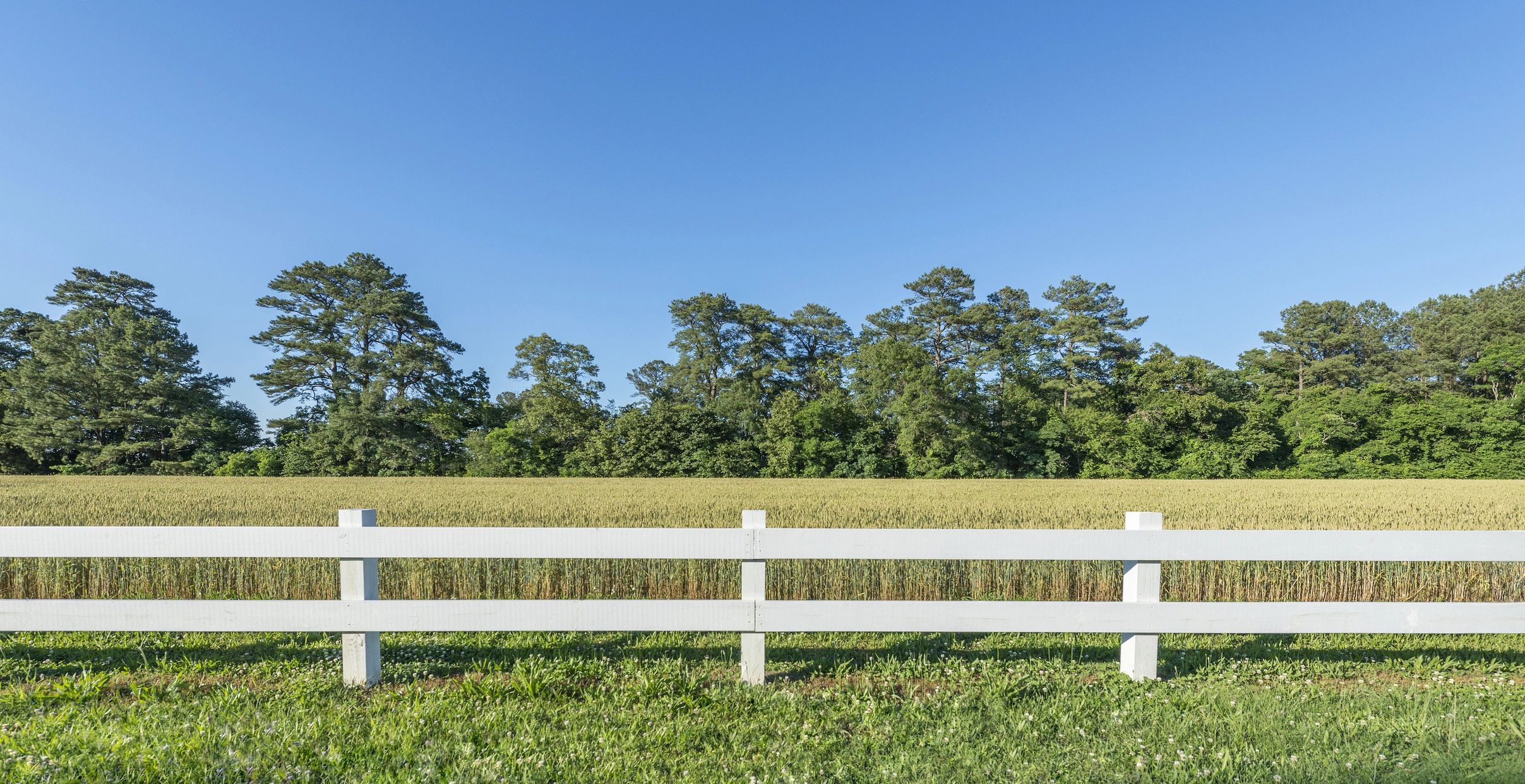 Country fence